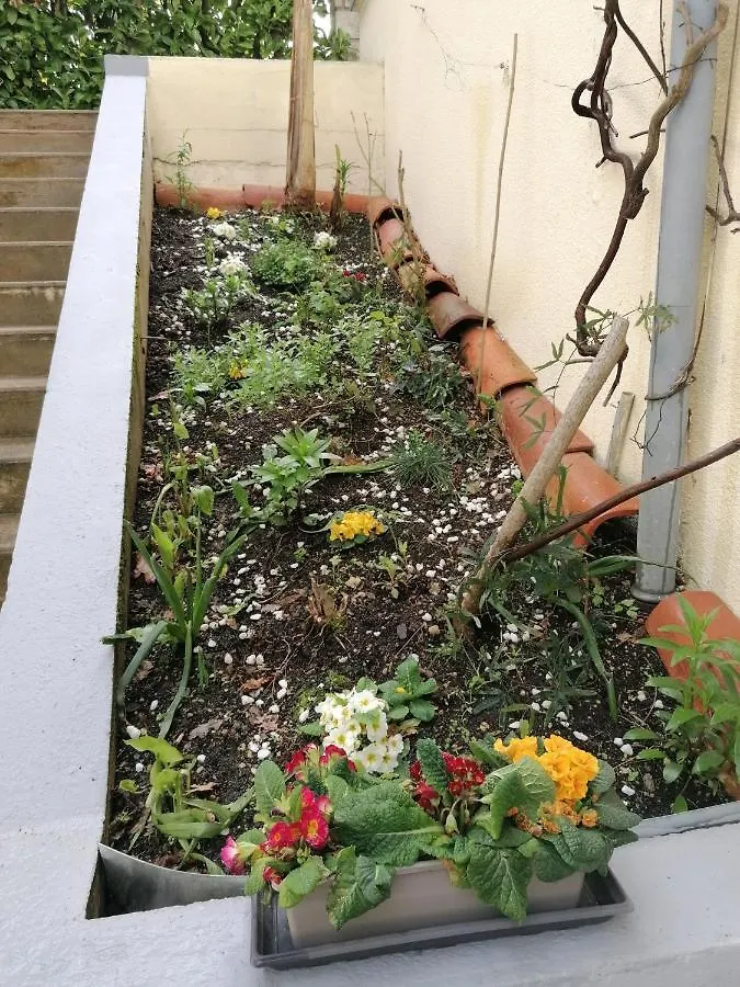 Apartment Gite Chez Pierrette Valence-sur-Baise France